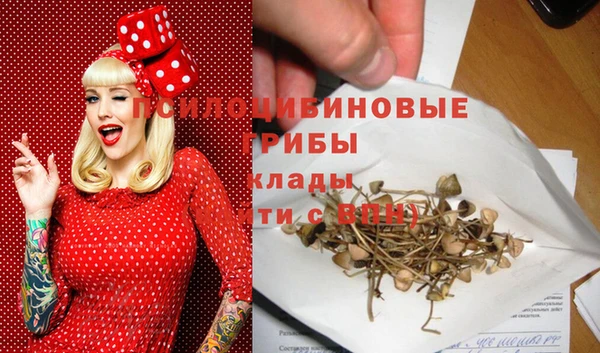 стаф Иннополис