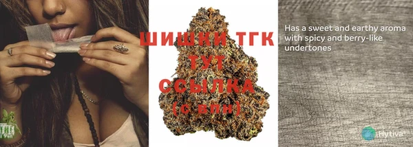 стаф Иннополис