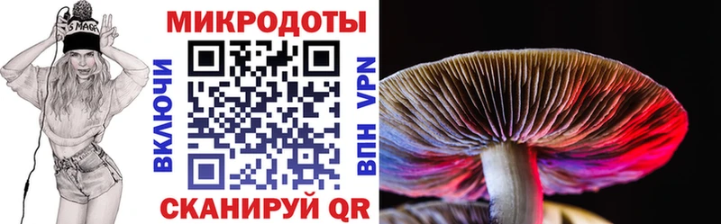 Купить где  Ветлуга  Псилоцибиновые грибы ЛСД 