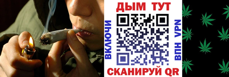 Каннабис семена Купить где Ветлуга